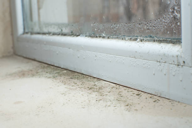 Best Residential Mold Inspection & Testing  in Yorklyn, PA